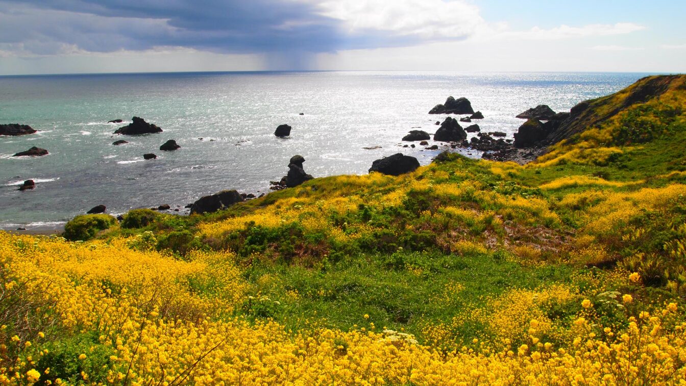 Four of Sonoma County's Best Hikes California Coastal Trail Food