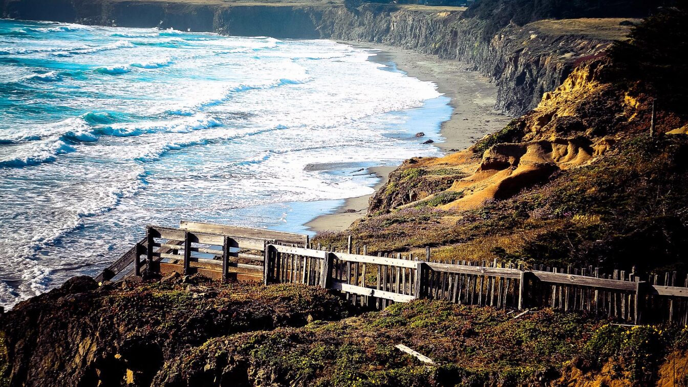 Four of Sonoma County's Best Hikes California Coastal Trail Food