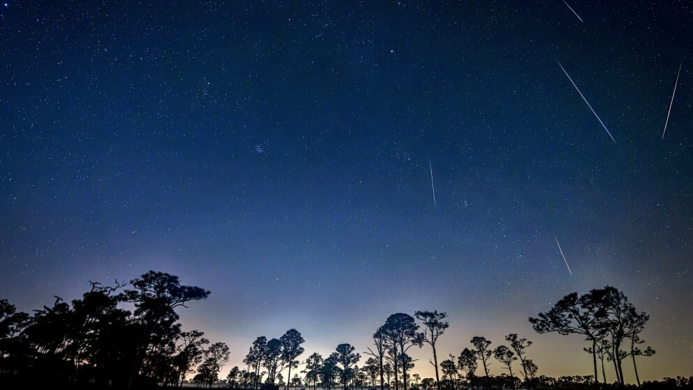 Geminid Meteor Shower in Fred C. Babcock/Cecil M. Webb Wildlife with trees silhouetted.
