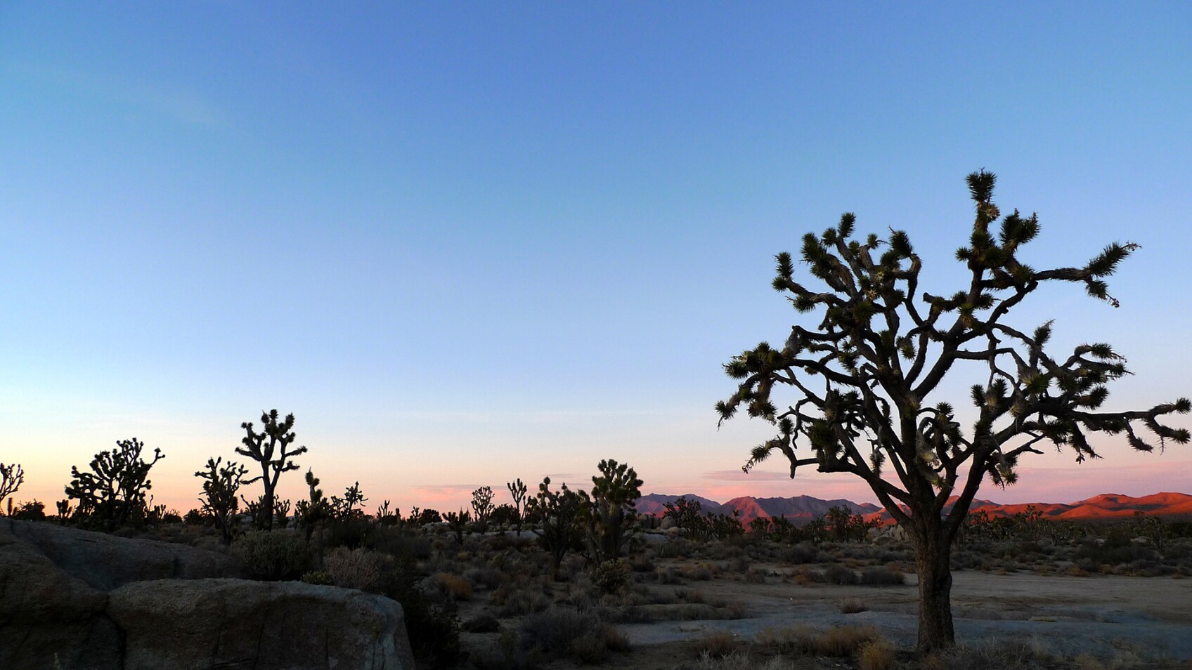 7 of the Best California Desert Summer Campgrounds SoCal Wanderer