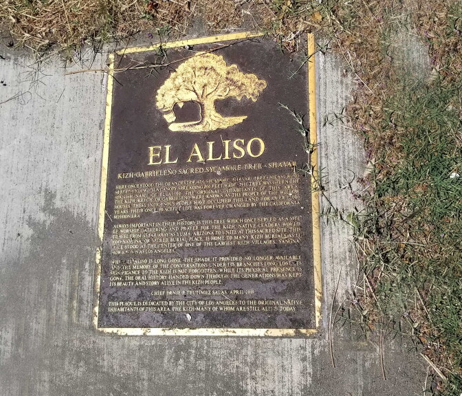 A bronze plaque on a concrete surface that is being taken over by weeds and grass, encroaching on the edges of the plaque. The plaque has a gold tree etched on the top. Underneath it reads, 