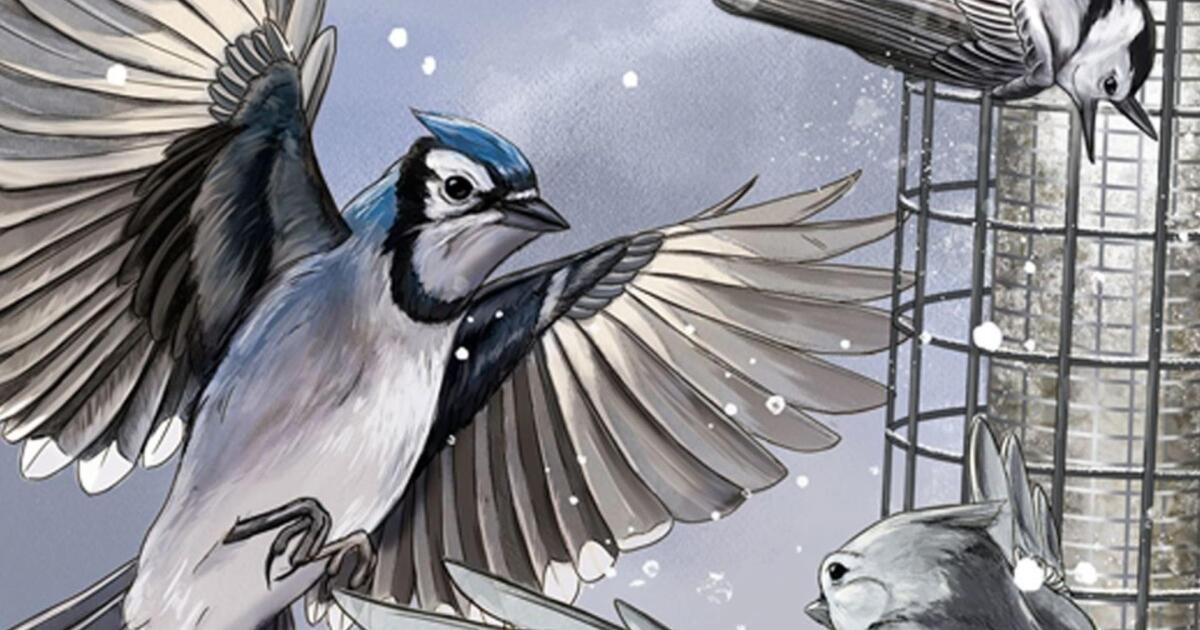 Watch Bird Cams Lab Crash Course Spanish Nature PBS SoCal