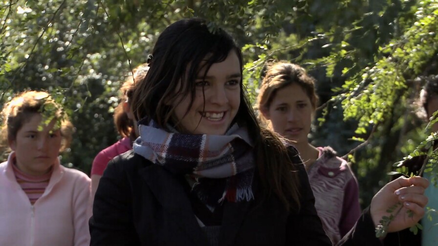 Forest Preservation in Argentina