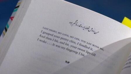 Dick Davis reads poems three short Persian poems