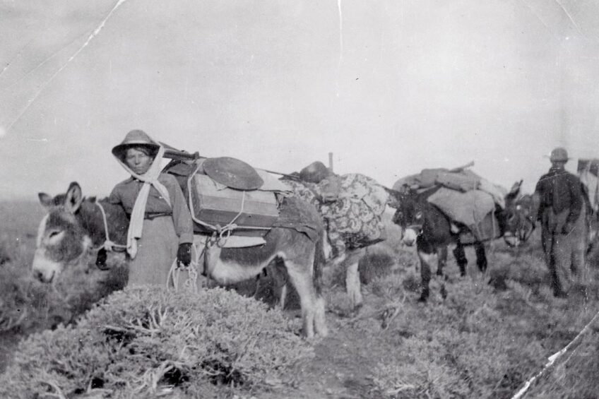 Alice “Happy Days” Diminy, a prospector who held claims and mined in Nevada's Tule Canyon. Photo dated 1902. | Courtesy of the Nevada Historical Society.